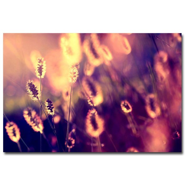 Beata Czyzowska Young 'Let them Shine' Canvas Art, 30x47, Trademark Fine Art, Mfr#: BC0007-C3047GG